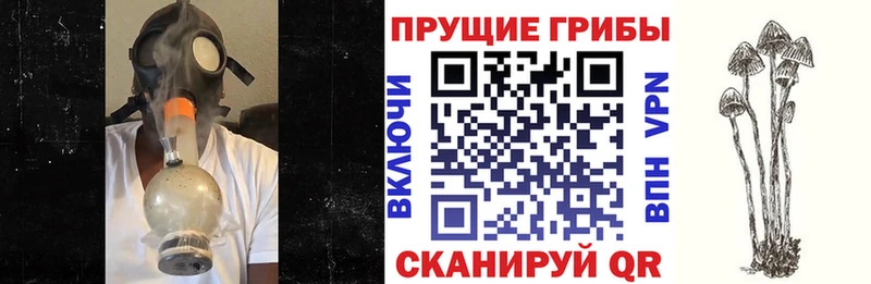 купить наркоту  Сызрань  omg маркетплейс  Псилоцибиновые грибы мухоморы 
